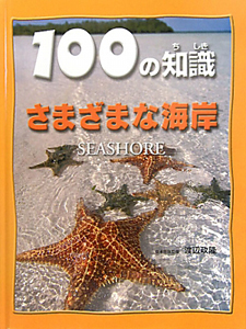 １００の知識　さまざまな海岸