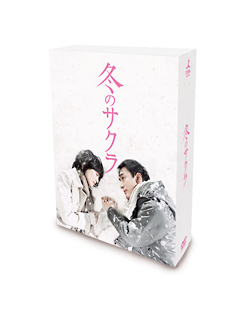 冬のサクラ　通常版DVD－BOX
