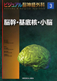 脳幹・基底核・小脳　ビジュアル脳神経外科3