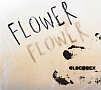FLOWER(DVD付)