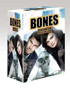 BONES　－骨は語る－　シーズン6　DVDコレクターズBOX