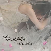 Centifolia - Noriko Mitose Art Works Best -