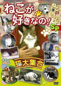 動物ＤＶＤ　ねこが好きなの！猫大集合　ねこ（猫）ざ　ランド　ＳＰ