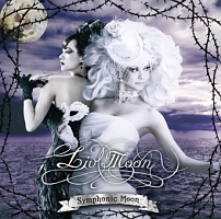 THE END OF THE BEGINNING(通常盤)/LIV MOON - レンタルCD