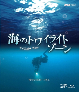 海のトワイライトゾーン“神秘の海域”に潜る