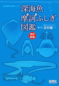 深海魚　摩訶ふしぎ図鑑＜改訂新版＞