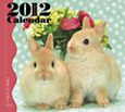 ウサギ　ミニカレンダー　2012