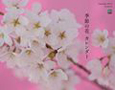 季節の花カレンダー　2012