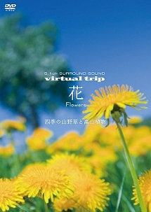virtual trip 花 Flowers ～四季の山野草と高山植物