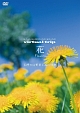virtual　trip　花　Flowers　〜四季の山野草と高山植物