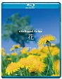 virtual　trip　花　Flowers　〜四季の山野草と高山植物