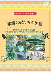 シリーズ・ヴィジュアル図鑑２４　華麗な蝶たちの世界