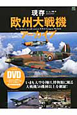 現存　欧州大戦機アーカイブ　DVD付