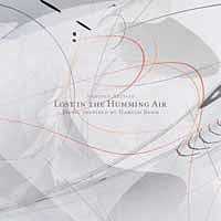 ロスト・イン・ザ・ハミング・エアー ミュージック・インスパイアード・バイ・ハロルド・バッド