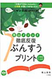 ぶんすうプリント　陰山メソッド　徹底反復　8割の子がつまずく！ニガテ克服シリーズ3