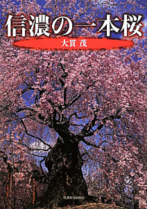 信濃の一本桜