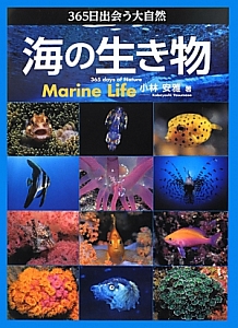 海の生き物