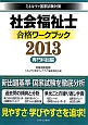 社会福祉士　合格ワークブック　専門科目編　2013