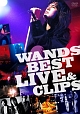 WANDS　BEST　LIVE　＆　CLIPS