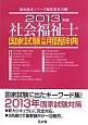 社会福祉士　国家試験対策用語辞典　2013