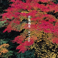 花鳥風月/ケツメイシ - 販売CD｜TSUTAYA レンタル・販売 商品在庫検索
