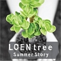 LOEN　TREE　SUMMER　STORY