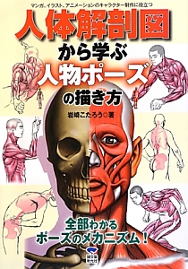 人体解剖図から学ぶ人物ポーズの描き方