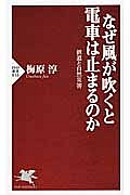 なぜ風が吹くと電車は止まるのか