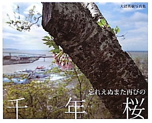 忘れえぬまた再びの千年桜 大沼英樹写真集