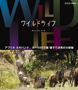 ワイルドライフ　アフリカ大サバンナ　ヌー１００万頭　親子で決死の大移動