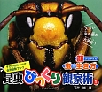 昆虫びっくり観察術　顔からみえる虫の生き方(1)