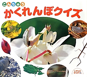 こんちゅうかくれんぼクイズ