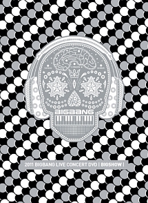 ２０１１　ＢＩＧＢＡＮＧ　ＬＩＶＥ　ＣＯＮＣＥＲＴ　ＤＶＤ　－Ｓｐｅｃｉａｌ　Ｐｒｉｃｅ－