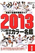 プロ野球　選手カラー名鑑＜保存版＞　２０１３