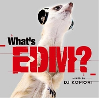 ＷＨＡＴ’Ｓ　ＥＤＭ？　ＭＩＸＥＤ　ＢＹ　ＤＪ　ＫＯＭＯＲＩ