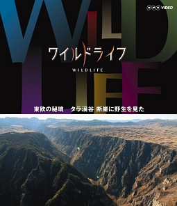 ワイルドライフ　東欧の秘境　タラ渓谷　断崖に野生を見た