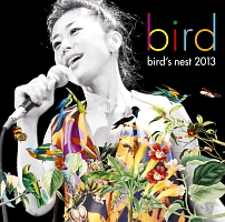 bird’s nest 2013