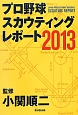 プロ野球　スカウティングレポート　2013