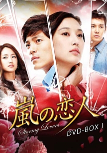 嵐の恋人　DVD－BOX1