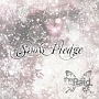 Snow　Pledge（B）(DVD付)