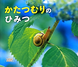 かたつむりのひみつ