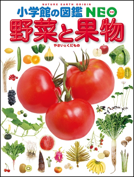 イラストでよくわかる はじめての野菜づくり12か月<改訂増補>/板木利隆