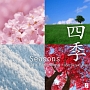 Seasons　（韓国版）
