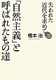 「自然主義」と呼ばれたもの達　失われた近代を求めて2