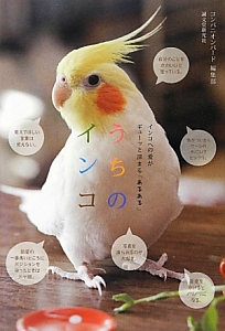 うちのインコ