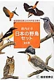 日本の野鳥セット　全6冊