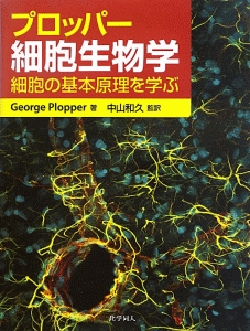 レーニンジャーの新生化学<第7版>(下)/デービッド・L・ネルソン - 販売