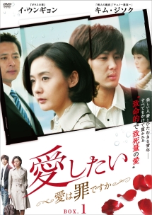 愛したい〜愛は罪ですか〜　DVD－BOX1