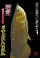 趣味癒し系DVD　ドラゴンフィッシュ（神龍）特集　1　アジアアロワナ特集1　改訂版