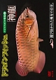 趣味癒し系DVD　ドラゴンフィッシュ（神龍）特集　2　アジアアロワナ特集2　改訂版